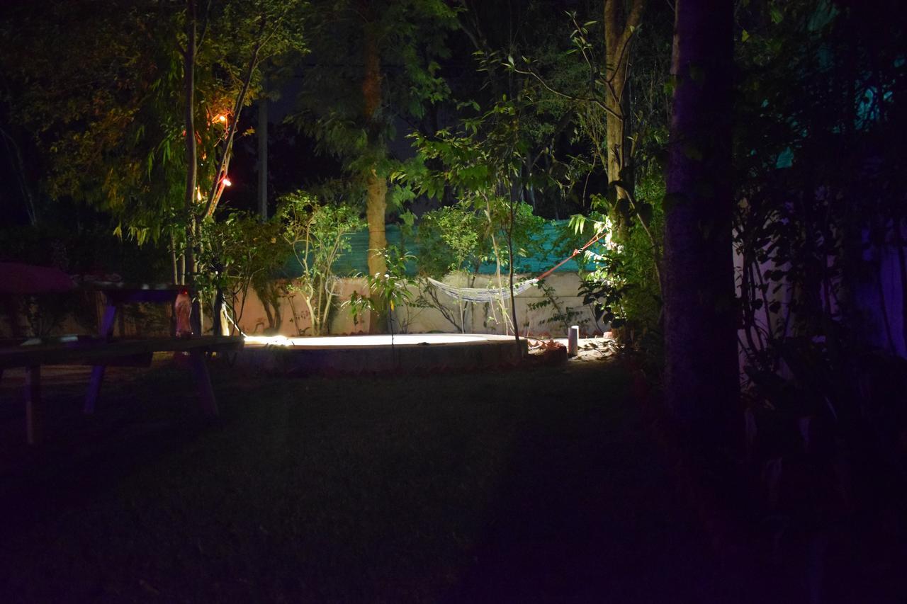 ניו דלהי Roots Hostel מראה חיצוני תמונה